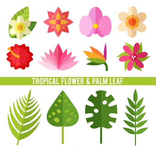 12款热带植物花卉和棕榈叶子矢量素