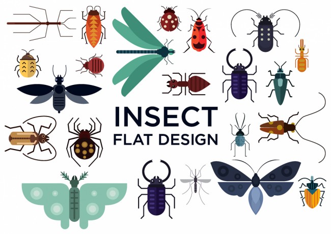 22款创意昆虫设计矢量素材普贤居素