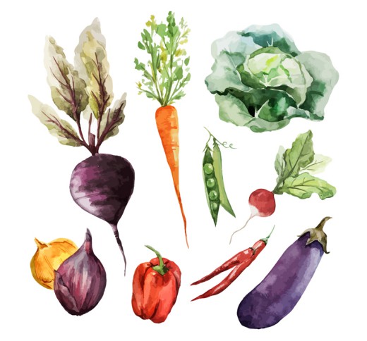 9款水彩蔬菜矢量素材16设计网精选