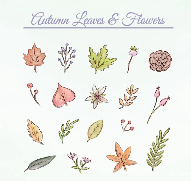 18款彩绘秋季叶子和花朵元素矢量素材16图库网精选