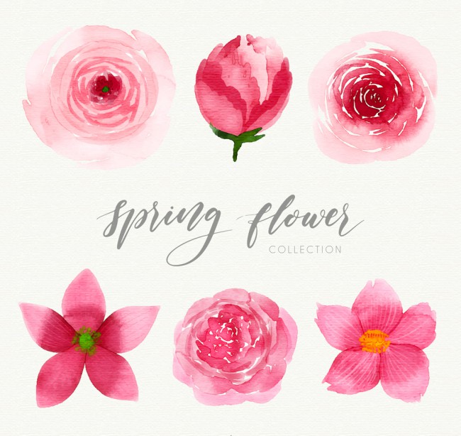 6款水彩绘春季粉色花卉矢量图16图库网精选