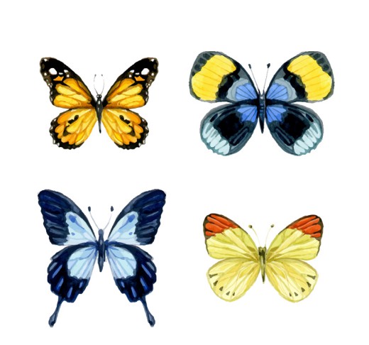 4款水彩蝴蝶设计矢量素材16图库网精选