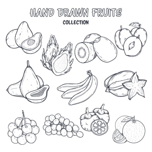 11款手绘水果设计矢量素材普贤居素