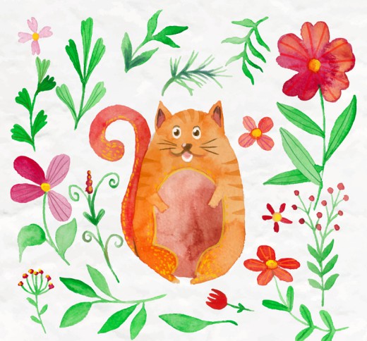 水彩绘花卉和胖猫咪矢量素材16图库网精选