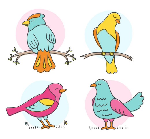4种彩色鸟类设计矢量素材16图库网精选