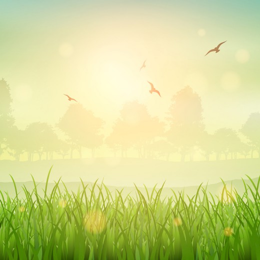 绿色草地和飞鸟自然风景矢量素材素