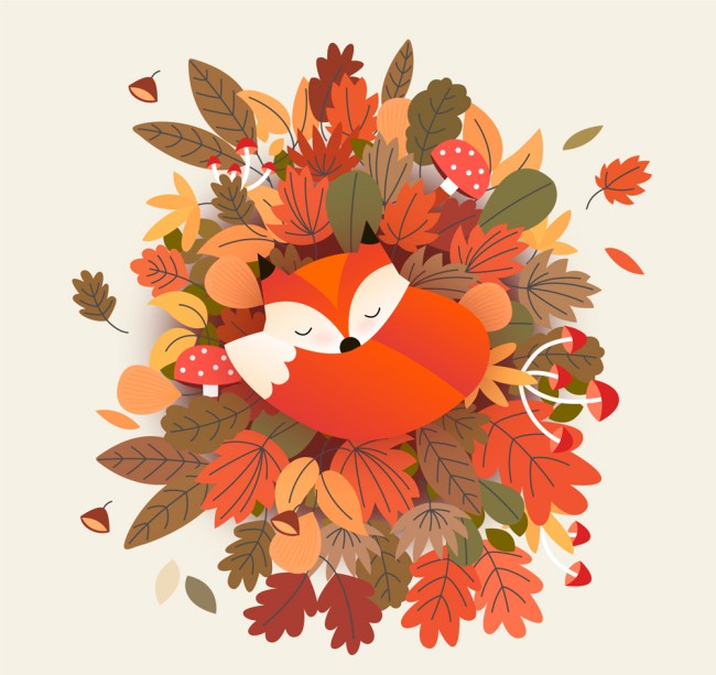 彩色秋季落叶堆上睡着的狐狸矢量图16素材网精选