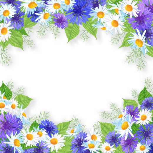 白色与紫色菊花边框设计矢量素材普