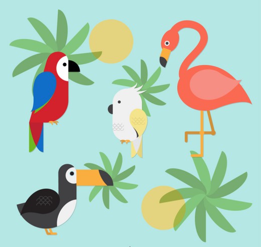 4款彩色热带鸟类设计矢量素材普贤居素材网精选