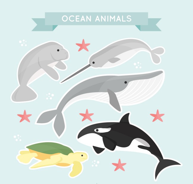 5款创意海洋动物矢量素材普贤居素材网精选