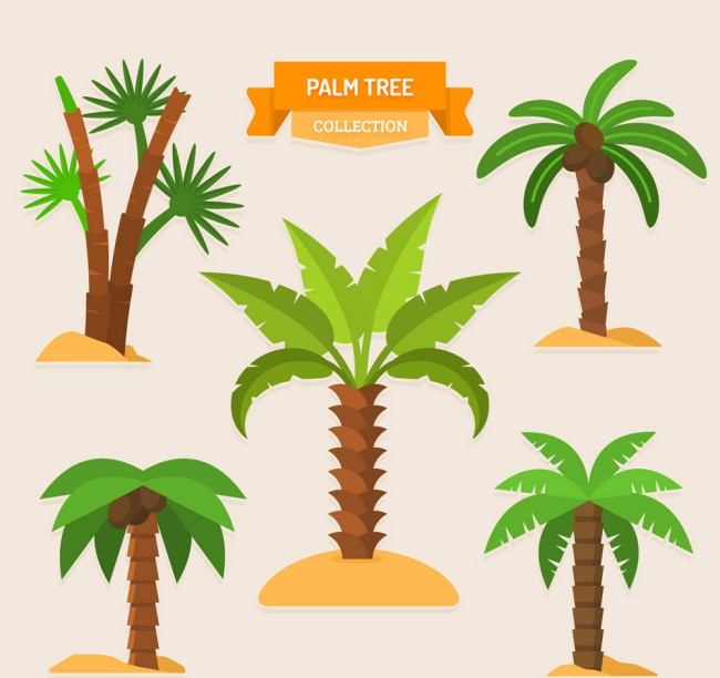 5款绿色棕榈树设计矢量素材16图库网精选