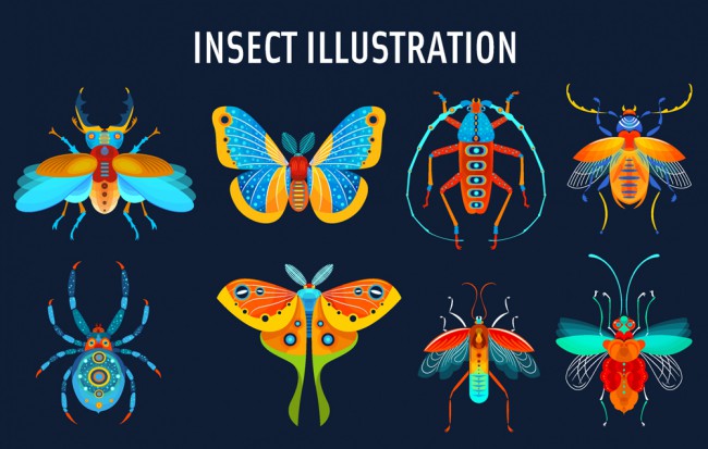 8款彩色昆虫设计矢量素材16图库网精选