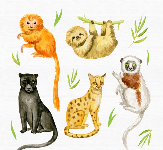 5款可爱水彩绘动物矢量素材16素材网精选