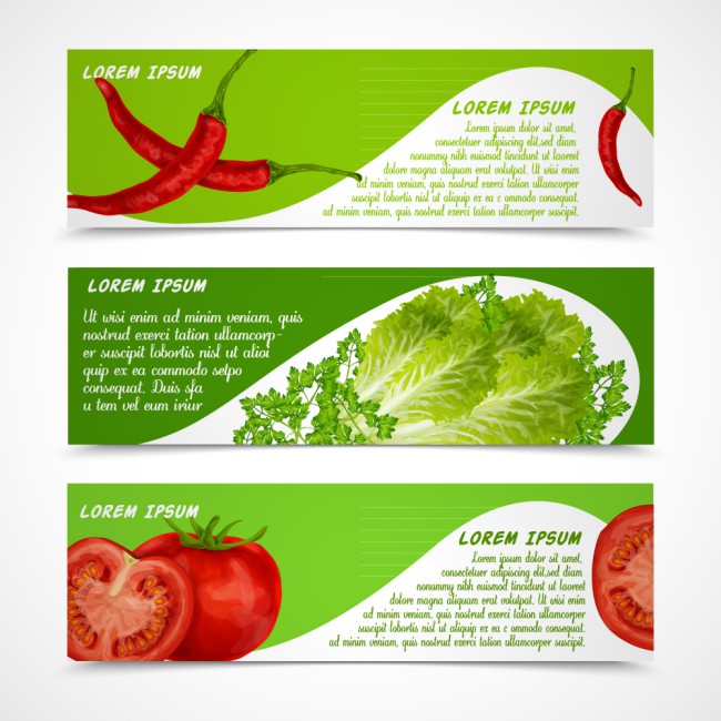 3款新鲜蔬菜banner矢量素材16设计