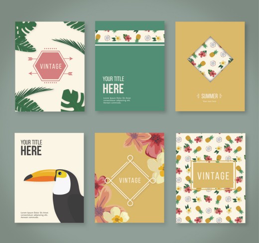 6款热带花卉卡片矢量素材16设计网