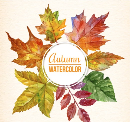 水彩绘秋季树叶框架矢量素材16设计网精选