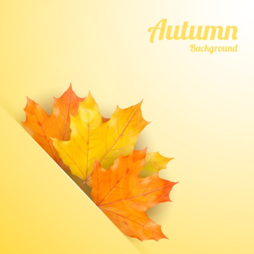 秋季镶嵌树叶背景矢量素材16素材网精选