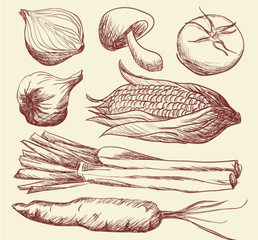7款手绘蔬菜设计矢量素材16图库网