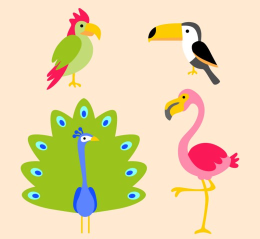 4种彩色卡通鸟设计矢量素材普贤居