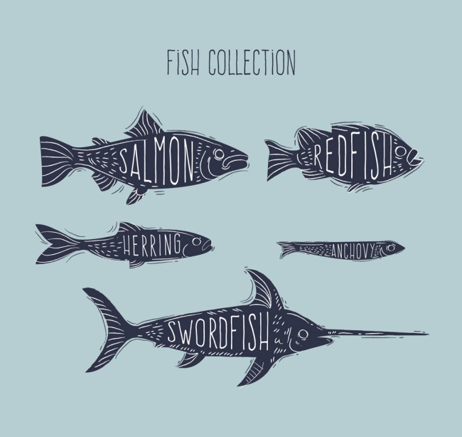 5款手绘带名字的鱼类矢量图16设计网精选