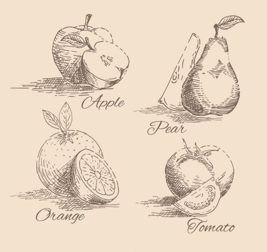 4款手绘水果与蔬菜切片设计矢量素材16图库网精选