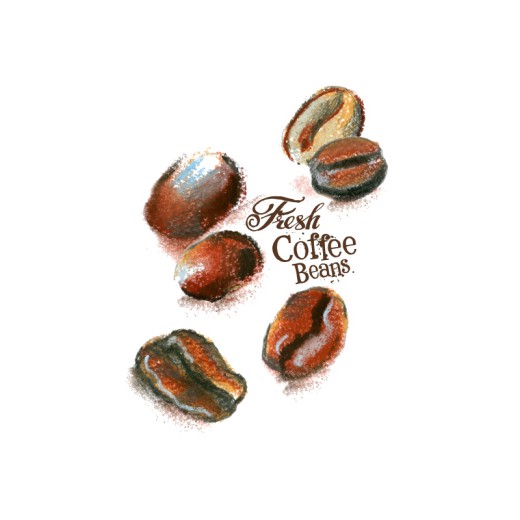 精美彩绘咖啡豆矢量素材16图库网精选