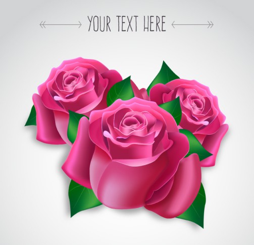 3朵粉色玫瑰花矢量素材16素材网精选