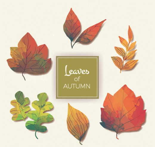 6款彩绘秋季树叶矢量素材16图库网精选