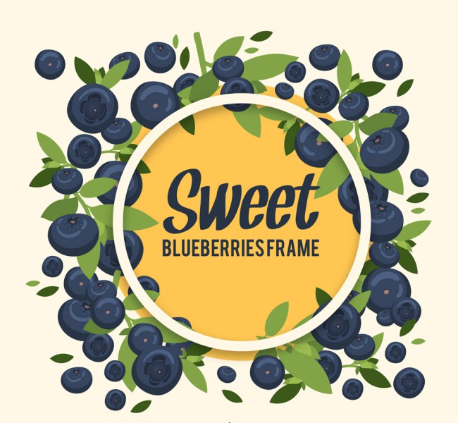 甜蜜蓝莓框架矢量素材16图库网精选