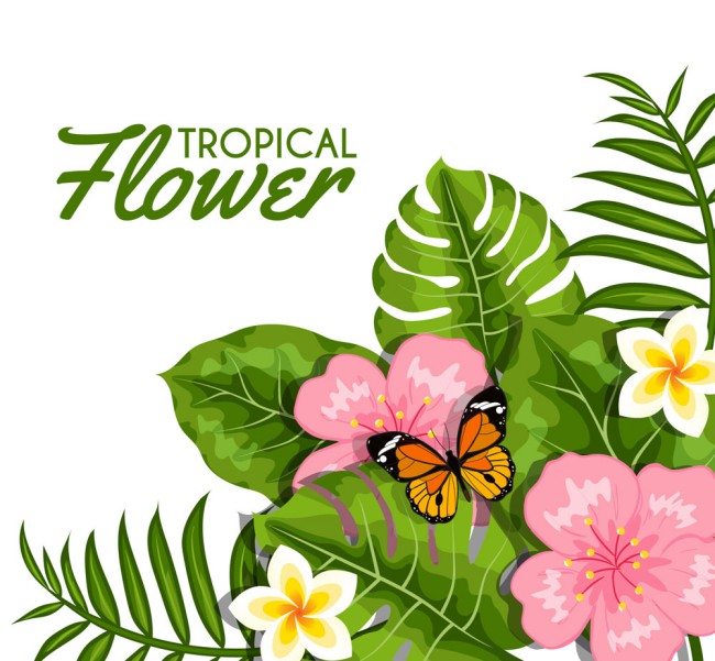 精美热带花卉和蝴蝶矢量素材16设计网精选
