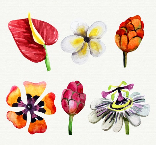 6款水彩绘花朵矢量素材素材中国网精选