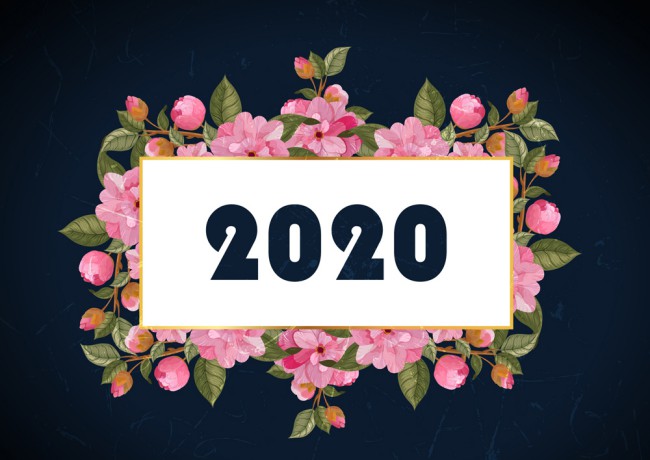 2020年粉色花卉矢量素材16素材网精选