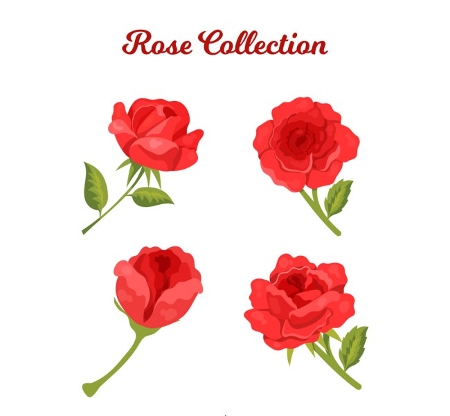 4款美丽红色玫瑰花矢量素材16素材网精选