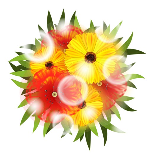 圆形彩色花卉和光晕矢量素材素材中