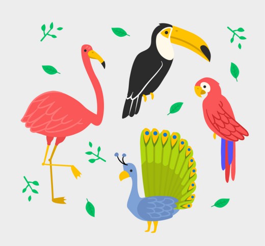 4款彩色火烈鸟鹦鹉等鸟类设计矢量素材16图库网精选