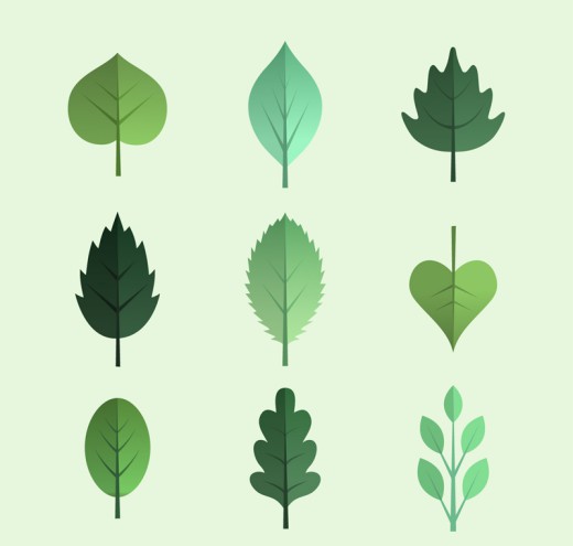 9款绿色树叶设计矢量素材16素材网精选