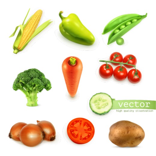 10款新鲜蔬菜设计矢量素材普贤居素