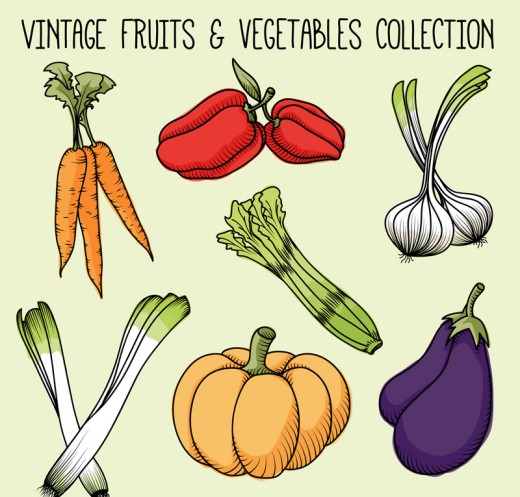 7款彩绘蔬菜设计矢量素材普贤居素材网精选