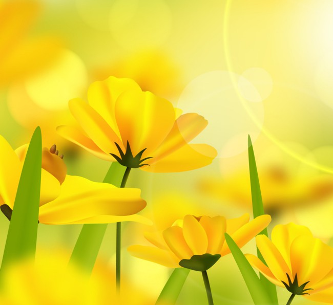 美丽阳光下的黄色花卉矢量素材16图库网精选