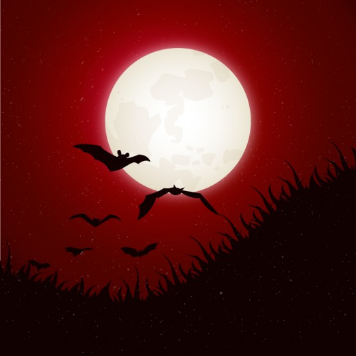 月夜蝙蝠背景矢量素材16素材网精选